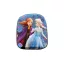 Disney Regatul de gheață Enchanted Sisters Rucsac 3D, geantă 30 cm